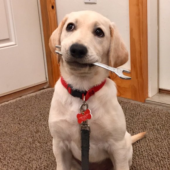 Meet your Posher, Suzanne - Picture 3 of 5